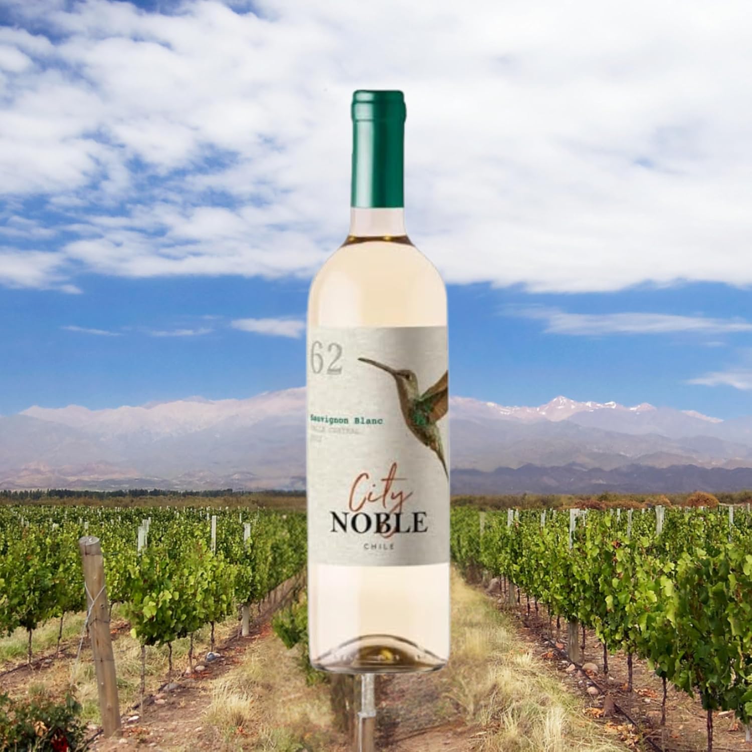 City Noble Sauvignon Blanc 2