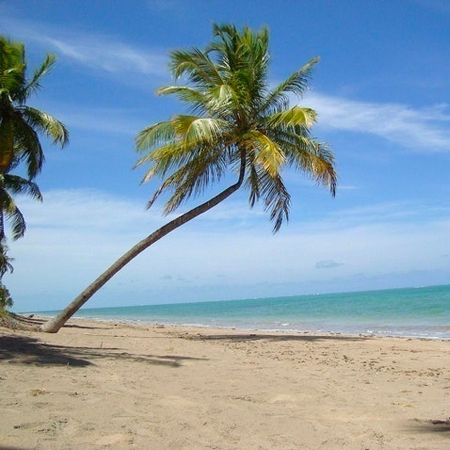 Top 10 Melhores Praias do Nordeste em 2026 (Maragogi, Porto Seguro e mais) 4