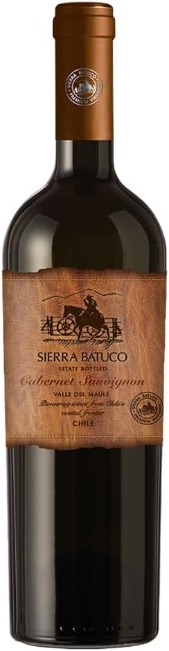 Top 10 Melhores Vinhos Chilenos em 2026  (Chilano, Concha y Toro e mais) 1