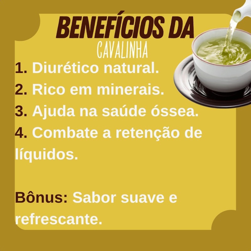 Cavalinha 100% Natural Santa Maria Alimentos 3