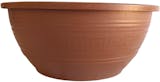 Top 10 Melhores Vasos para Rosa do Deserto (Vasart e mais) 2