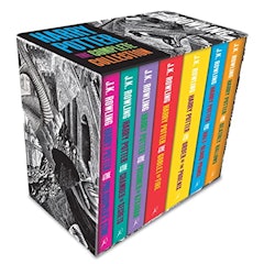Box Harry Potter (Capa Comum para Adultos)