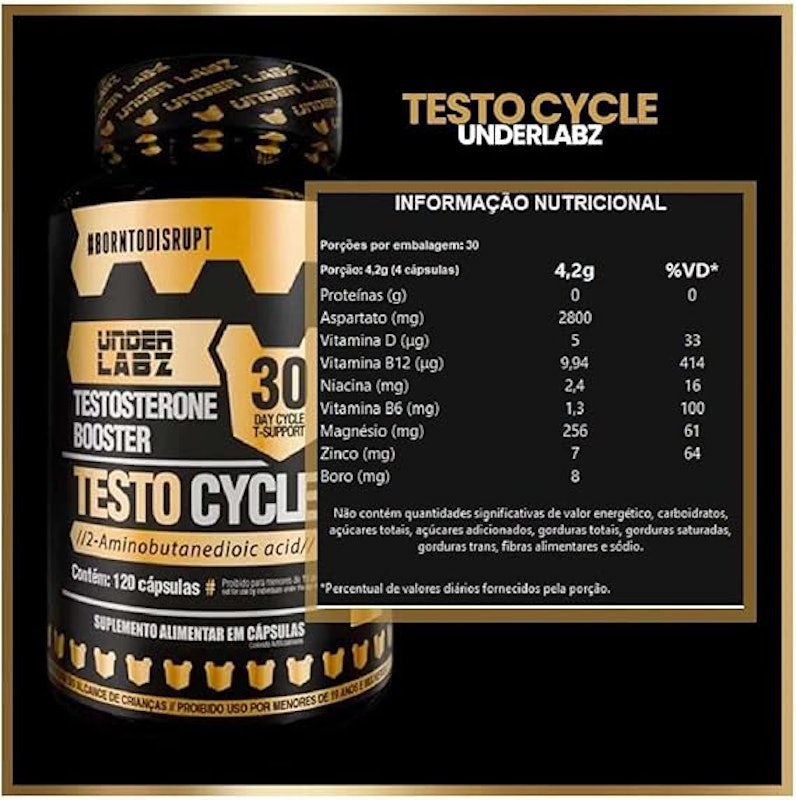 Testo Cycle 2