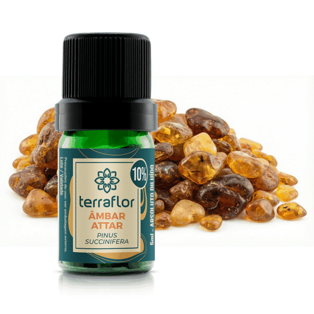 Terra Flor 4