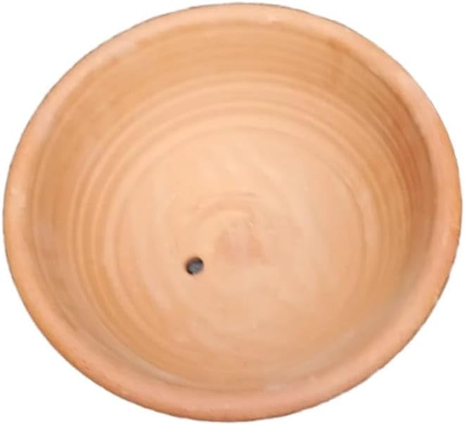 Vaso Quintal de Casa Bacia Trabalhada 3