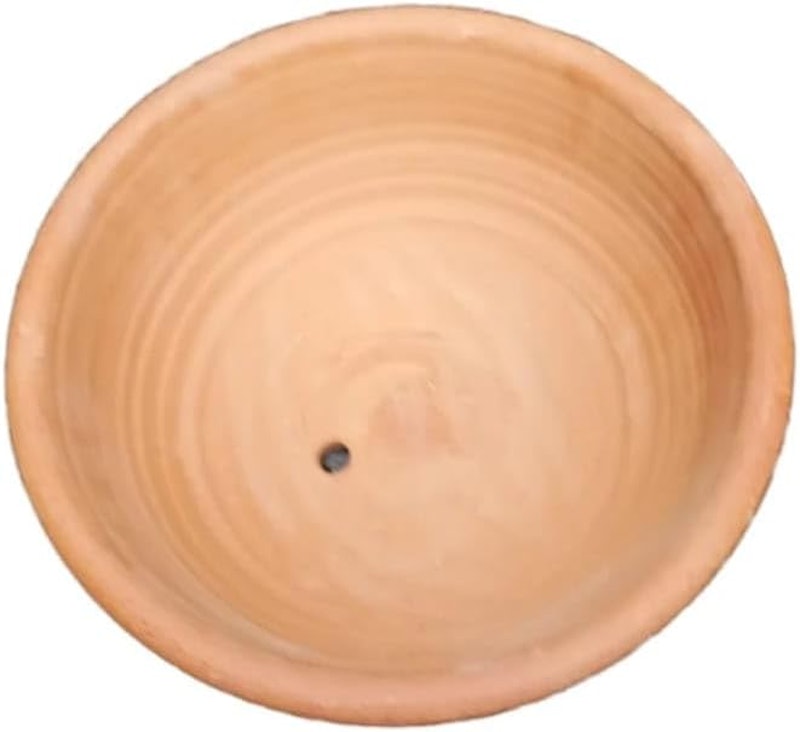 Vaso Quintal de Casa Bacia Trabalhada 3