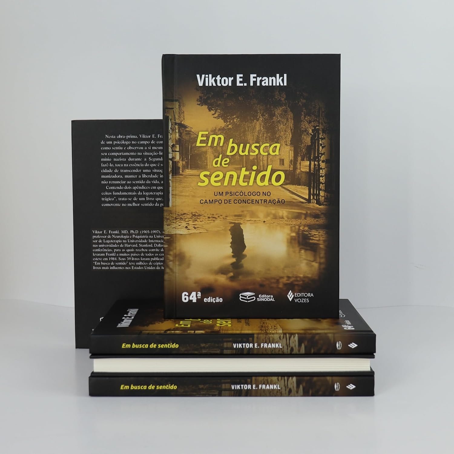 Em Busca de Sentido 5