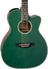Takamine 4
