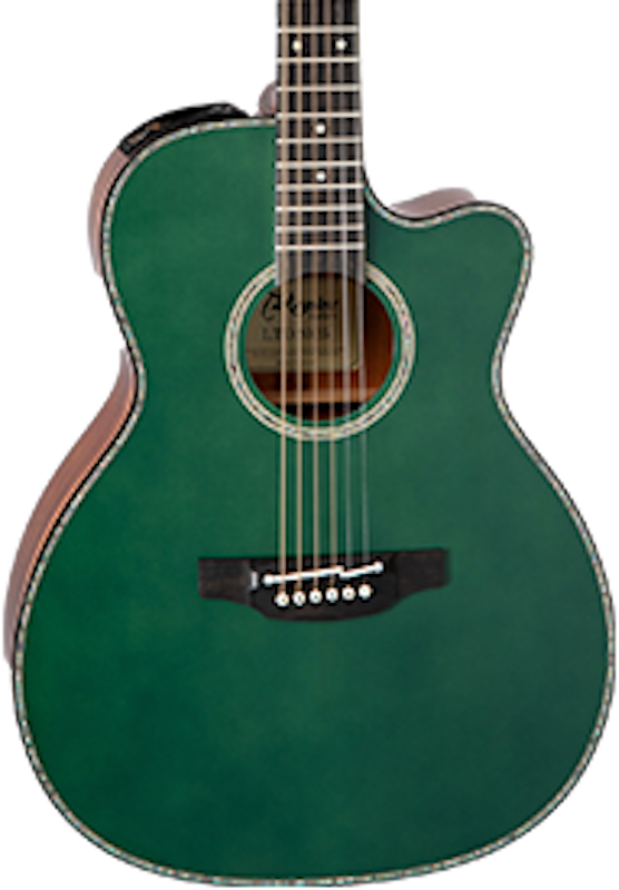 Takamine 4