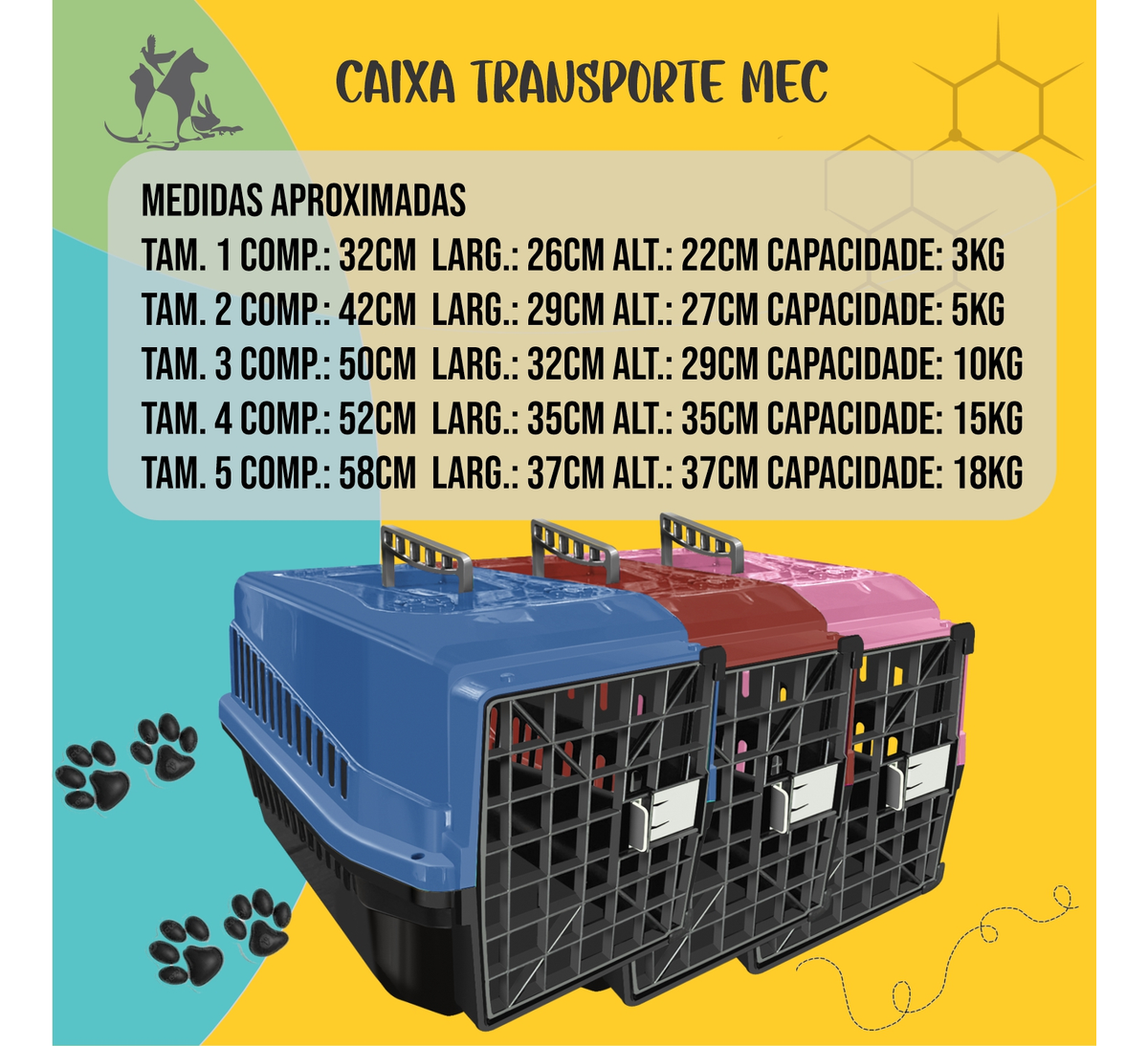 Caixa Transporte N2 Colorida 3