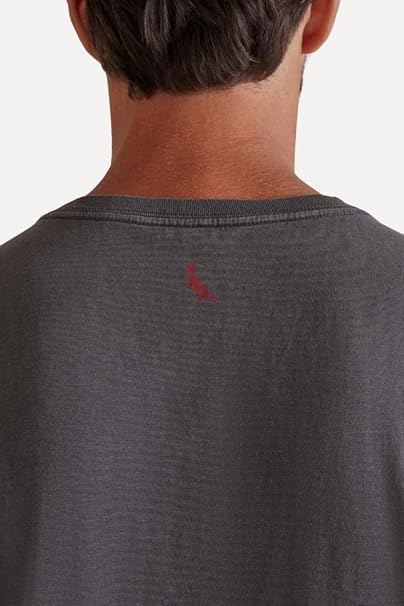 Camiseta Brasa Pica Pau Bordado 5