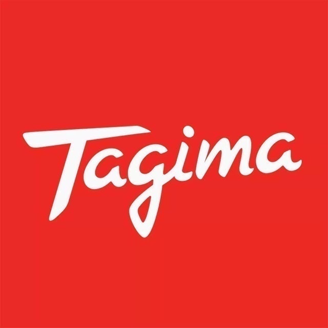 Top 10 Melhores Marcas de Guitarra em 2026 (Tagima, Fender e mais) 1