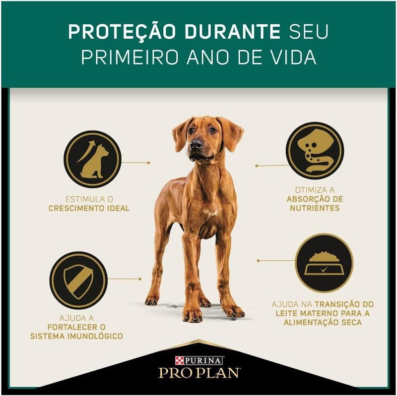 Pro Plan Filhote Grandes e Gigante com Frango 4