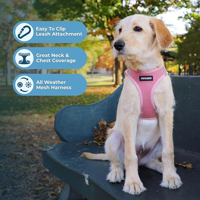 Coleira Peitoral Voyager Step-In Air Harness Pink 3