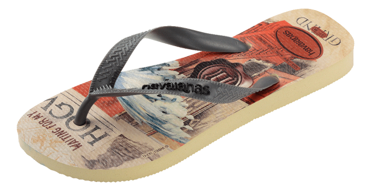 Chinelo Havaianas Top Clássicos Warner Harry Potter 2