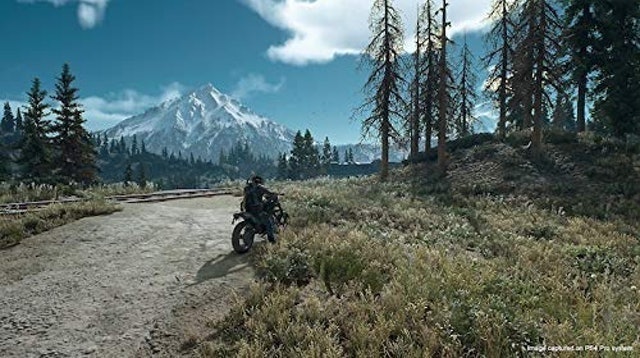Days Gone (2019) 4