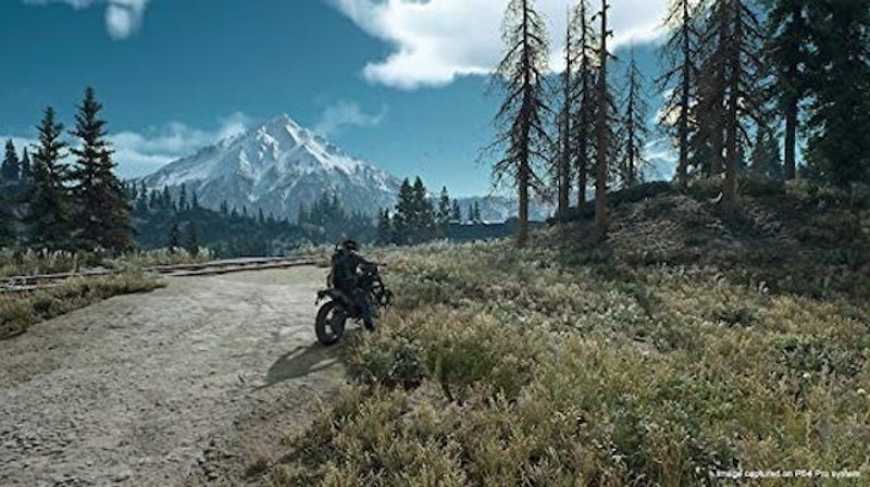 Days Gone (2019) 4