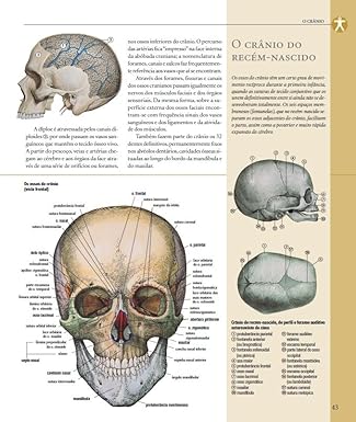 Atlas Ilustrado de Anatomia  4