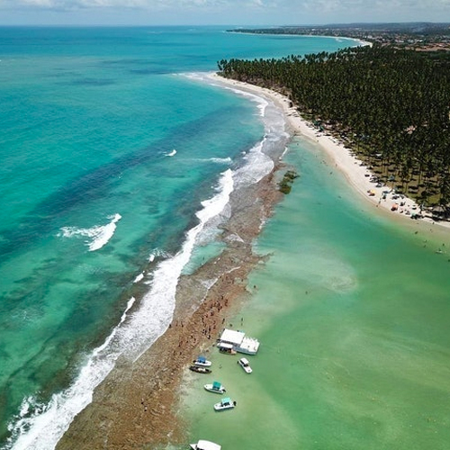 Top 10 Melhores Praias de Pernambuco em 2026 (Baía do Sancho e mais) 4