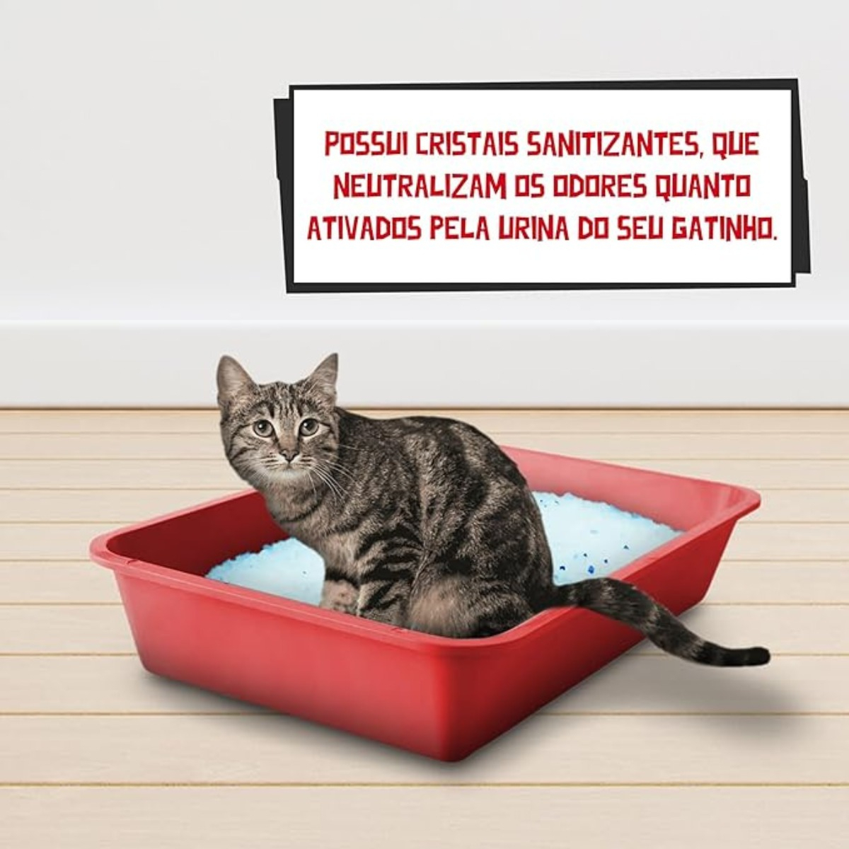 Areia Higiênica para Gato com Cristais de Sílica e Cristais Azuis Antiodor 4