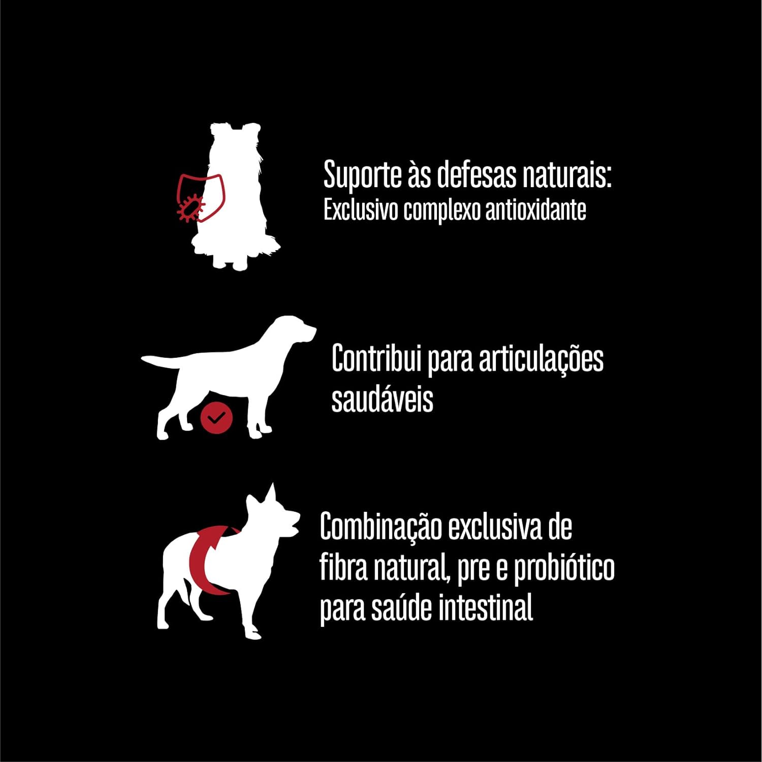 Cães Porte Grande Adulto Carne (12 Kg) 4
