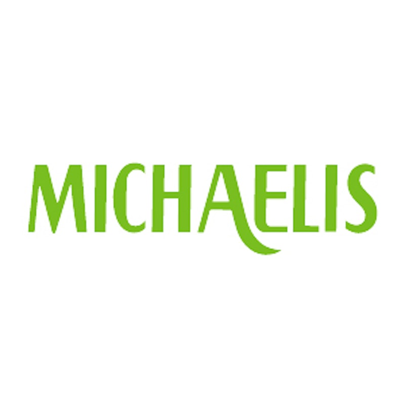 Michaelis - Dicionário Brasileiro da Língua Portuguesa 1