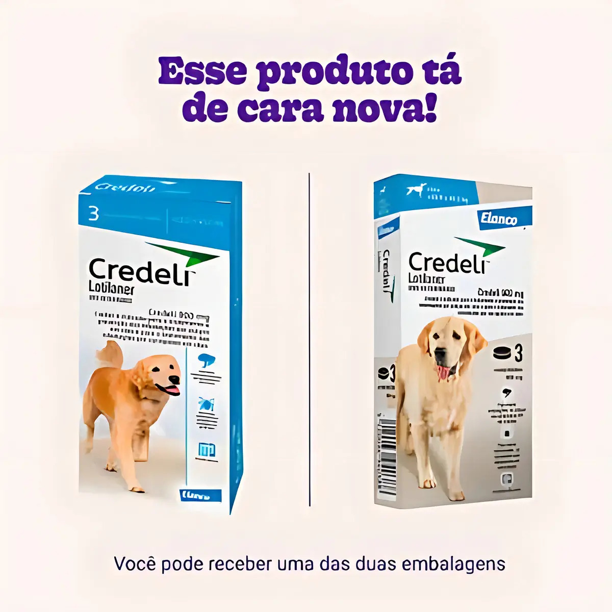 Credeli (Lotilaner) 4