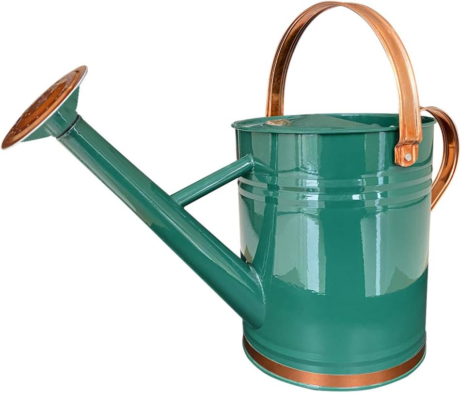 Regador de Aço Galvanizado para Plantas 1