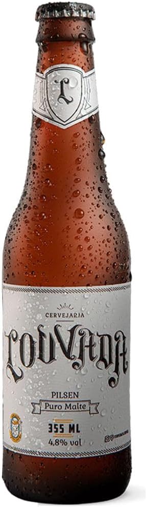 Top 10 Melhores Cervejas do Brasil  (Skol, Brahma e mais) 5