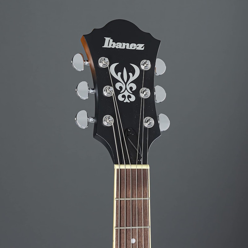 Hollow Body Ibanez 5