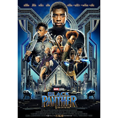 Pantera Negra (2018)