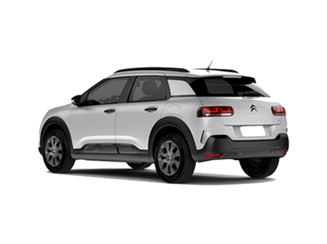 C4 Cactus 3