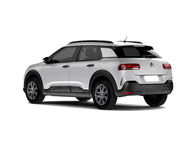 C4 Cactus 3