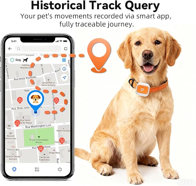 Coleira Rastreador GPS para Animais de Estimação 4