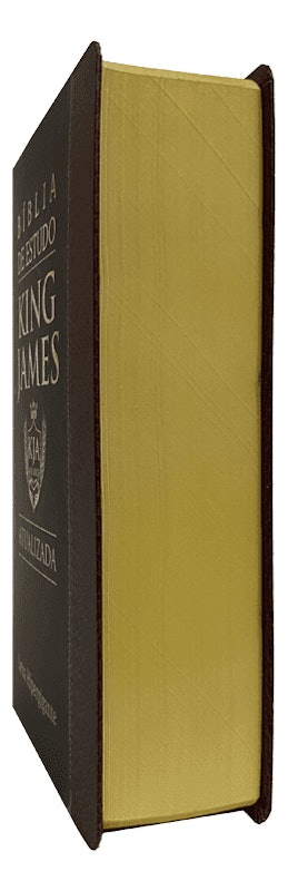 Bíblia de Estudo King James Atualizada Tradicional 3