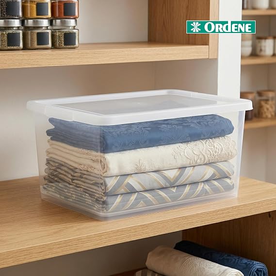 Organizador com Tampa 15 L 4