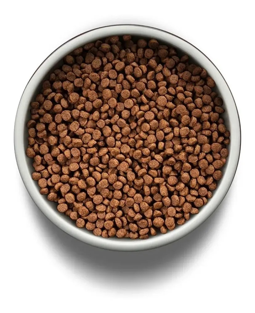 Ração Gato Filhote Frango e Arroz Integral 3