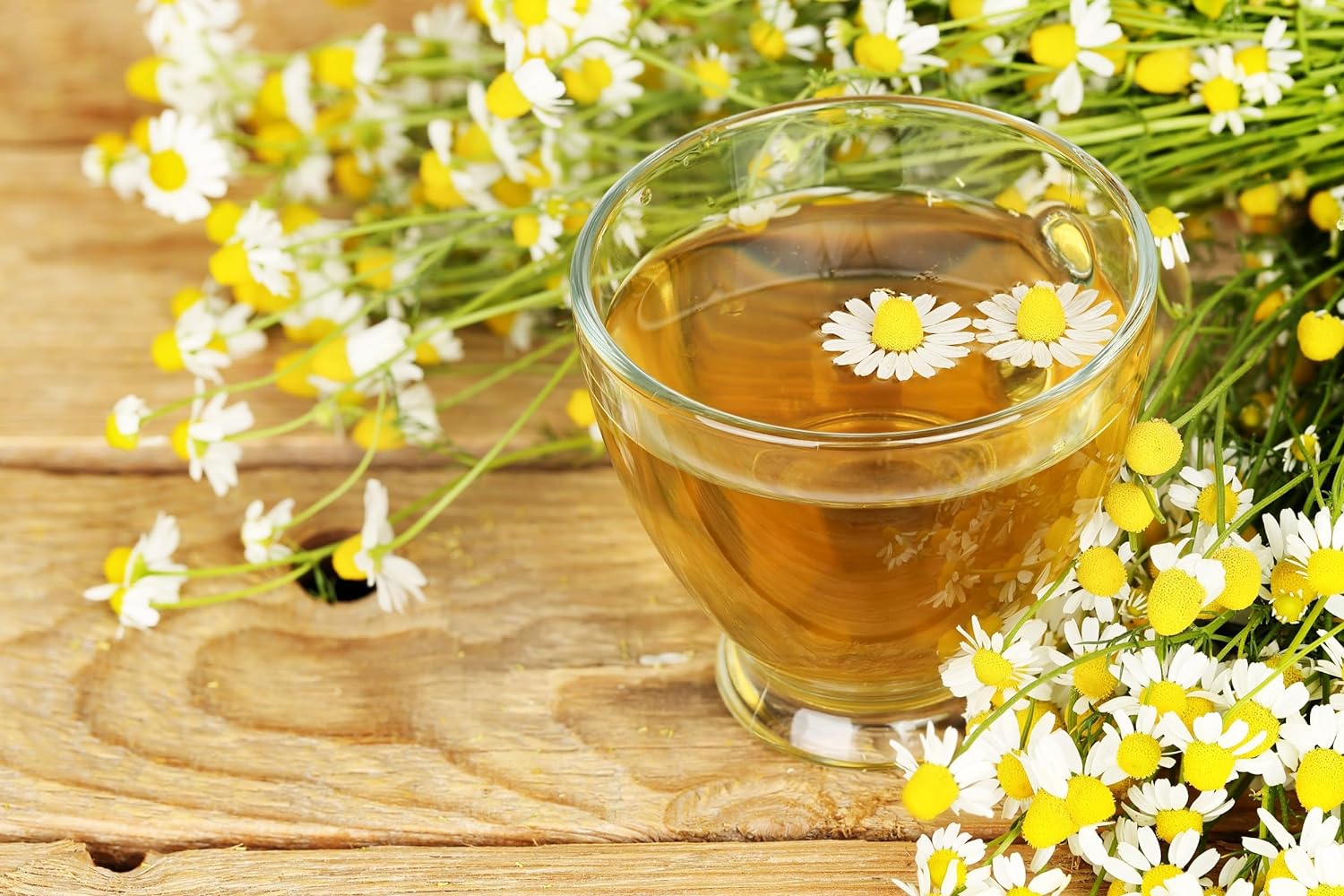 Chá de Camomila Gourmet Tea Brasil 2