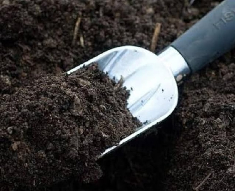 Terra Adubada para Plantas 2
