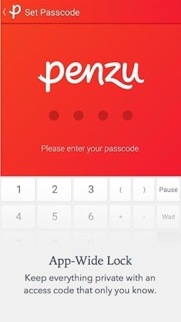 Penzu 5