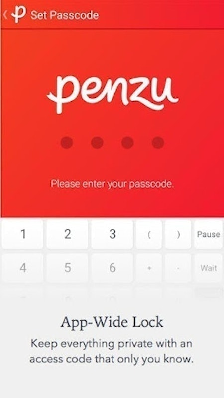 Penzu 5