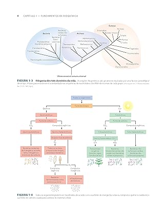 Princípios de Bioquímica de Lehninger 3