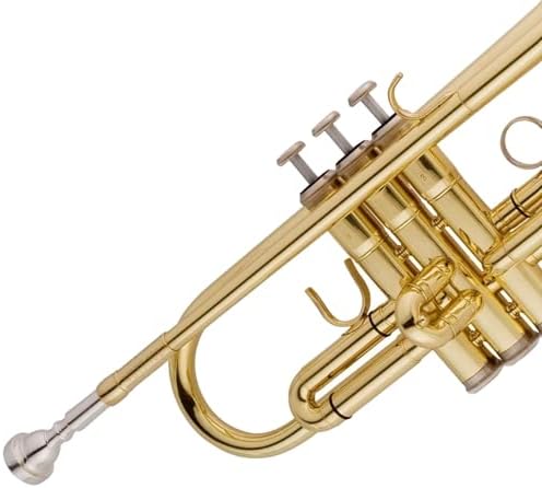 Trompete VSTR701N 4