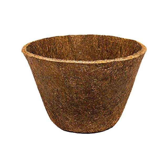 Vaso Coquim N° 8 1