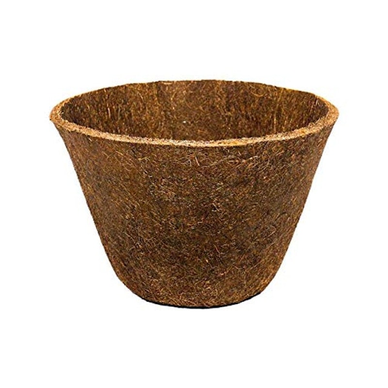 Vaso Coquim N° 8 1
