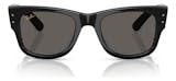 Top 10 Melhores Óculos de Sol da Ray-Ban em 2026 (New Aviator, Wayfarer e mais) 4