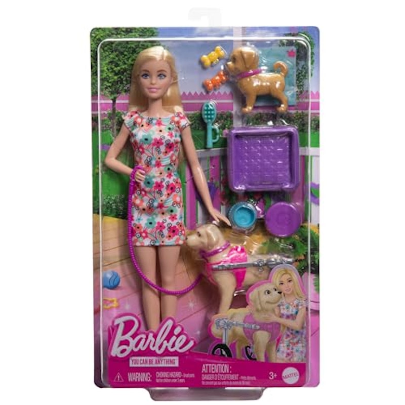 Barbie, Conjunto de Brinquedo, Passeio de Animais de Estimação com Cadeira de Rodas 5