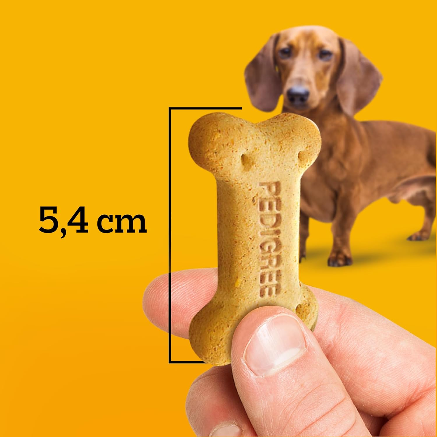 Pedigree Biscrok Adulto Multi Sabor 4