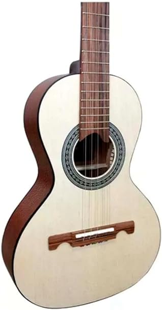 Viola Cinturada Temperada Acústica Giannini Raiz VS4H Imbu NS 5