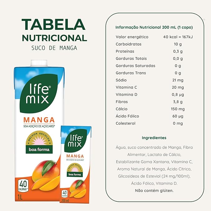 Suco de Manga Natural 2